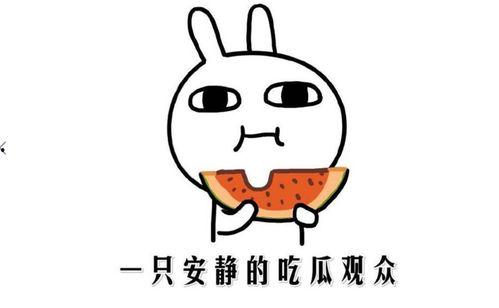 坐等吃瓜是什么意思